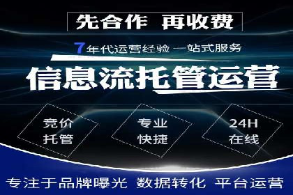 竞价推广策略：某电商平台的成功之路